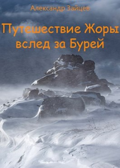 Обложка книги - Путешествие Жоры вслед за Бурей - Александр Зайцев (flector)