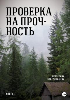 Обложка книги - Проверка на прочность - Екатерина Береславцева