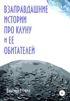 Обложка книги - Взаправдашние истории про Клуну и ее обитателей - Валерий Владимирович Туркин