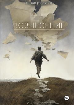 Книга - Вознесение. Игорь Алексеевич Шамин - прочитать в Литвек