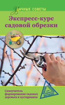 Обложка книги - Экспресс-курс садовой обрезки - Ирина Борисовна Окунева