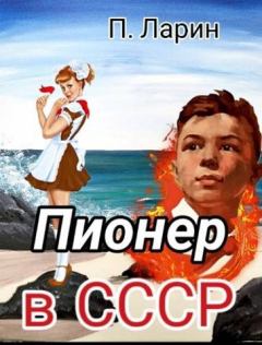 Обложка книги - Пионер в СССР - Павел Ларин