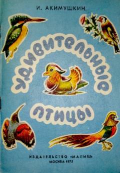 Обложка книги - Удивительные птицы - Игорь Иванович Акимушкин