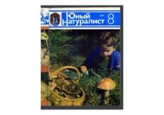 Книга - Юный натуралист 1984 №08. Журнал «Юный натуралист» - прочитать в Литвек