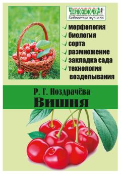 Обложка книги - Вишня - Р Г Ноздрачева