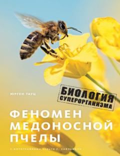 Книга - Феномен медоносной пчелы. Биология суперорганизма. Юрген Тауц - прочитать в Литвек