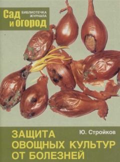 Обложка книги - Защита овощных культур от болезней - Юрий Михайлович Стройков