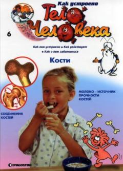 Книга - Как устроено тело человека №06 Кости.  журнал «Как устроено тело человека» - читать в Литвек