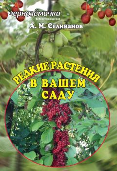Книга - Редкие растения в вашем саду. Александр Михайлович Селиванов - прочитать в Литвек
