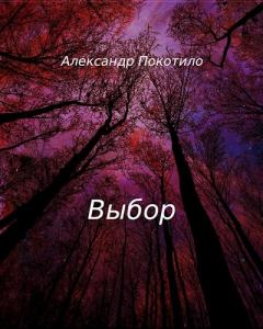 Обложка книги - Выбор - Александр Покотило