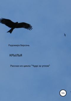 Обложка книги - Крылья - Радомира Берсень