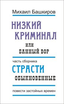 Книга - Низкий криминал, или Банный вор. Михаил Викторович Башкиров - читать в Литвек