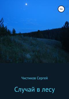 Обложка книги - Случай в лесу - Сергей Чистиков