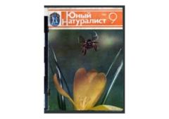Книга - Юный натуралист 1982 №09. Журнал «Юный натуралист» - читать в Литвек