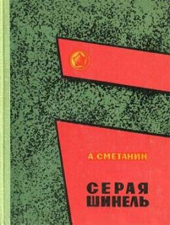 Книга - Серая шинель. Александр Иванович Сметанин - читать в Литвек