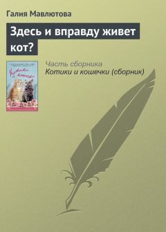 Обложка книги - Здесь и вправду живет кот? - Галия Сергеевна Мавлютова