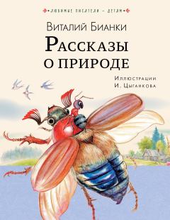 Обложка книги - Рассказы о природе - Виталий Валентинович Бианки