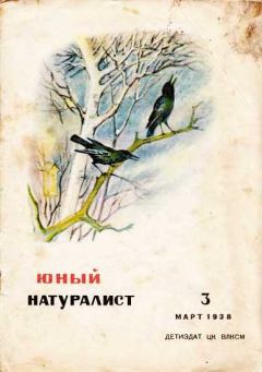 Обложка книги - Юный натуралист 1938 №3 - Журнал «Юный натуралист»