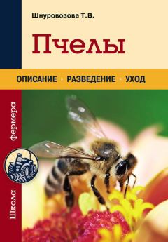 Книга - Пчелы. Татьяна Владимировна Шнуровозова - читать в ЛитВек