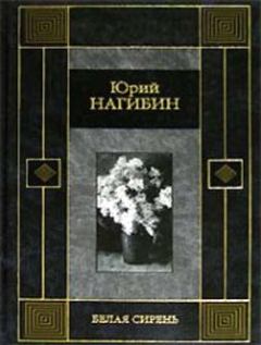 Обложка книги - Белая сирень - Юрий Маркович Нагибин