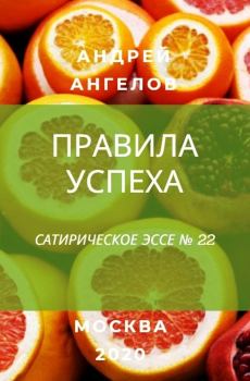 Обложка книги - Правила успеха - Андрей Ангелов
