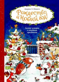 Обложка книги - Рождество и Новый год - Андреас Х. Шмахтл