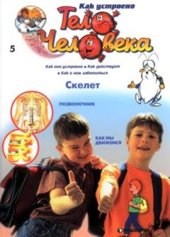Книга - Как устроено тело человека №05 Скелет.  журнал «Как устроено тело человека» - читать в Литвек