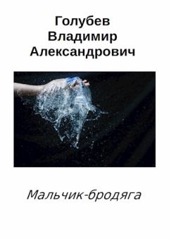 Обложка книги - Мальчик-бродяга - Владимир Александрович Голубев