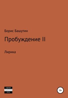 Книга - Пробуждение 2. Борис Валерьевич Башутин - прочитать в Литвек