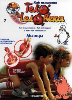 Книга - Как устроено тело человека №07 Мышцы.  журнал «Как устроено тело человека» - читать в Литвек