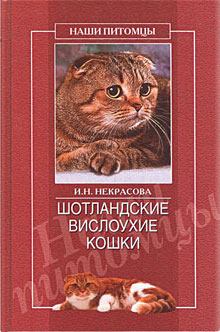 Обложка книги - Шотландские вислоухие кошки - Ирина Николаевна Некрасова