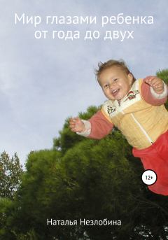 Обложка книги - Мир глазами ребенка от года до двух - Наталья Незлобина