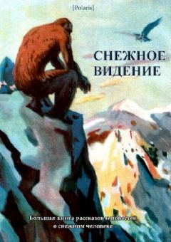 Обложка книги - Снежное видение: Большая книга рассказов и повестей о снежном человеке -  Антология