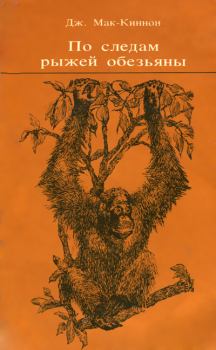 Обложка книги - По следам рыжей обезьяны - Джон Мак-Киннон