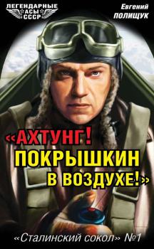 Книга - «Ахтунг! Покрышкин в воздухе!». «Сталинский сокол» № 1. Евгений Полищук - читать в ЛитВек