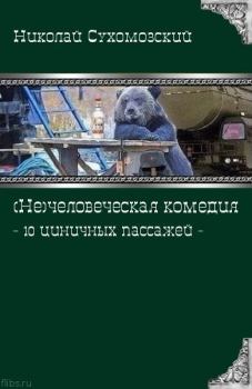 Обложка книги - 10 циничных пассажей - Николай Михайлович Сухомозский