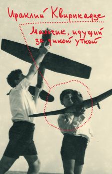 Обложка книги - Мальчик, идущий за дикой уткой - Ираклий Михайлович Квирикадзе
