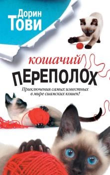 Обложка книги - Кошачий переполох - Дорин Тови