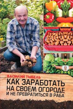Книга - Как заработать на своем огороде и не превратиться в раба. Василий Васильевич Тыбель - читать в ЛитВек