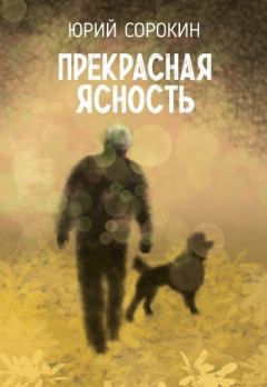 Книга - Прекрасная ясность. Юрий Александрович Сорокин - читать в Литвек