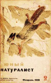 Книга - Юный натуралист 1936 №2. Журнал «Юный натуралист» - прочитать в Литвек