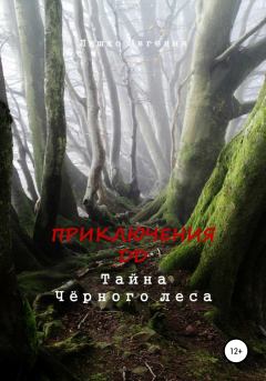 Книга - Приключения ДД. Тайна Чёрного леса. Евгения Ляшко - читать в Литвек