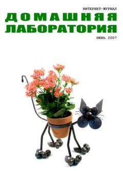 Обложка книги - Интернет-журнал "Домашняя лаборатория", 2007 №6 -  Автор неизвестен