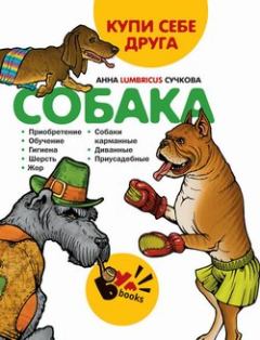 Обложка книги - Купи себе друга: собака - Анна Сучкова