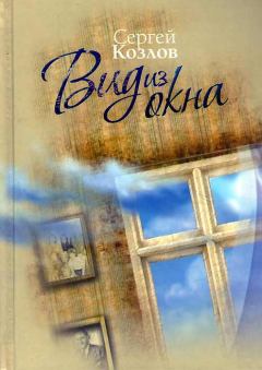 Книга - Вид из окна. Сергей Сергеевич Козлов - читать в Литвек