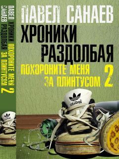 Обложка книги - Хроники Раздолбая - Павел Владимирович Санаев