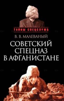 Книга - Советский спецназ в Афганистане. Валерий Васильевич Малеваный - читать в Литвек