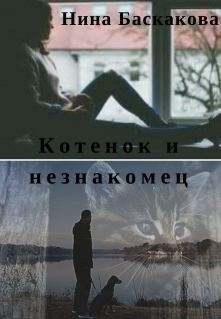 Обложка книги - Котенок и незнакомец (СИ) - Нина Баскакова