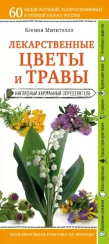 Обложка книги - Лекарственные цветы и травы: наглядный карманный определитель - Ксения Митителло