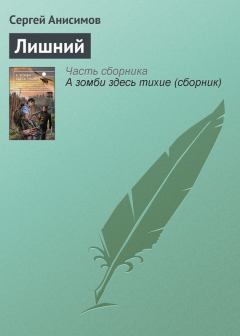 Книга - Лишний. Сергей Владимирович Анисимов - прочитать в Литвек
